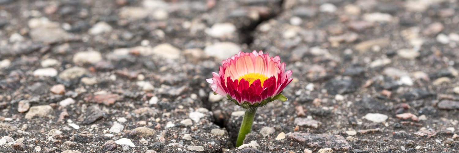 It’s Okay to Struggle