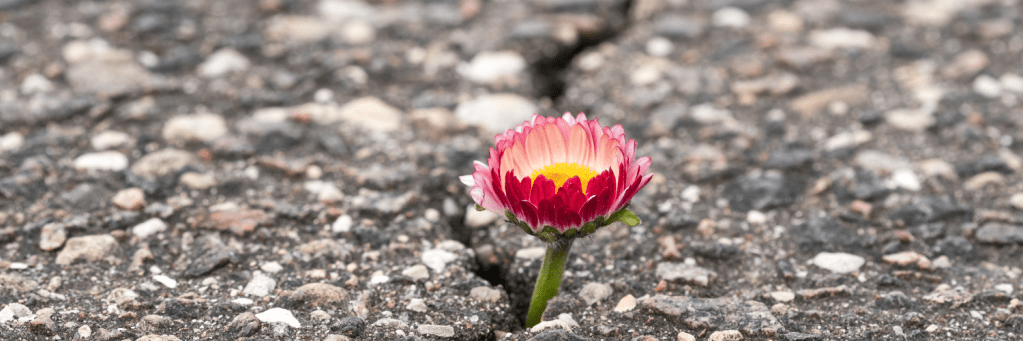 It’s Okay to Struggle