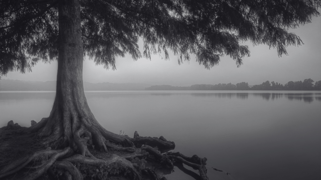 Be Still and Know That I AM GOD